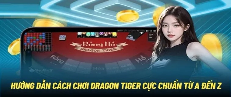 Chơi Dragon Tiger Tại Nhà Cái SP666: Dễ Dàng & Hấp Dẫn